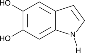 5,6-dihydroxy IndoleͼƬ