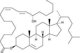 13(S)-HODE cholesteryl esterͼƬ