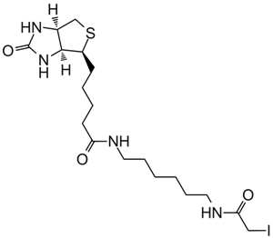 Iodoacetyl-LC-BiotinͼƬ