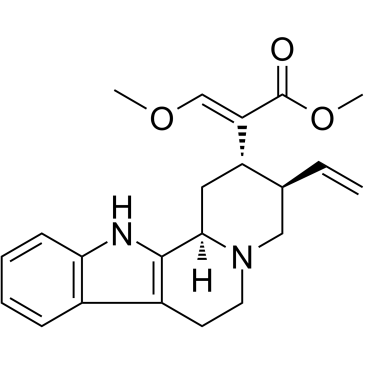 HirsuteineͼƬ