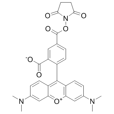 5-TAMRA-SE(5-TAMRA-NHS ester)ͼƬ