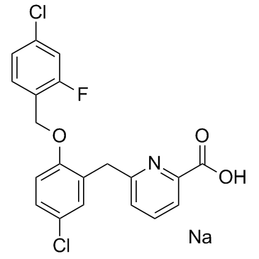 GSK-269984AͼƬ