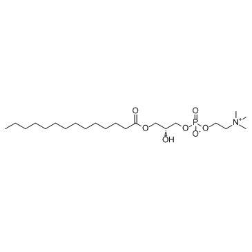 LysoPC(14:0/0:0)ͼƬ