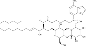 C6 NBD Lactosylceramide(d18:1/6:0)ͼƬ