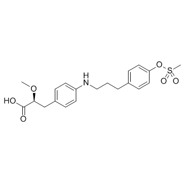 PPAR agonist 1ͼƬ