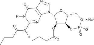 Dibutyryl-Cyclic GMP(sodium salt)ͼƬ