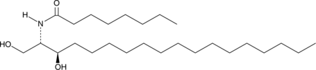 C8 dihydro Ceramide(d18:0/8:0)ͼƬ