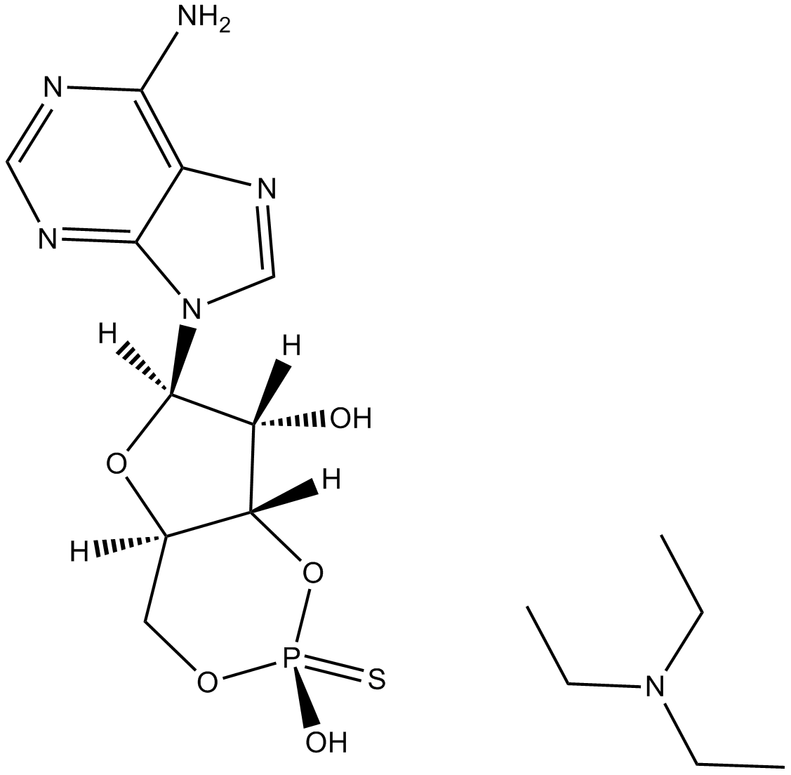 cAMPS-Rp,triethylammonium saltͼƬ