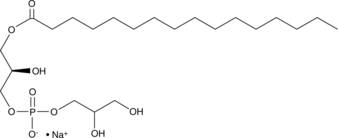 1-Palmitoyl-2-hydroxy-sn-glycero-3-PG(sodium salt)ͼƬ