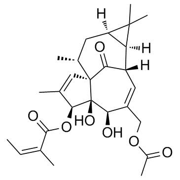 20-O-Acetylingenol-3-angelate(Euphorbia factor Pe1)ͼƬ