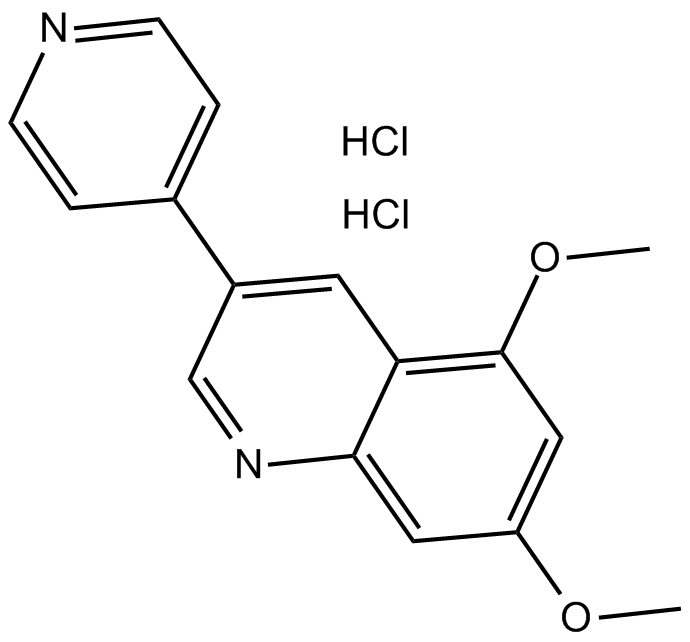 DMPQ dihydrochlorideͼƬ