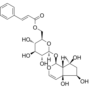 6'-O-Cinnamoyl harpagideͼƬ