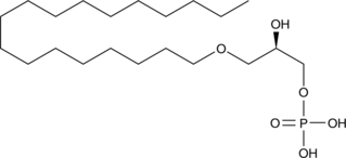 1-Octadecyl Lysophosphatidic AcidͼƬ