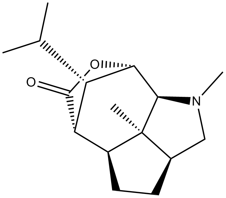 DendrobineͼƬ