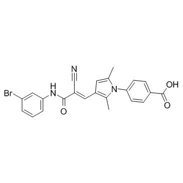 RNPA1000ͼƬ