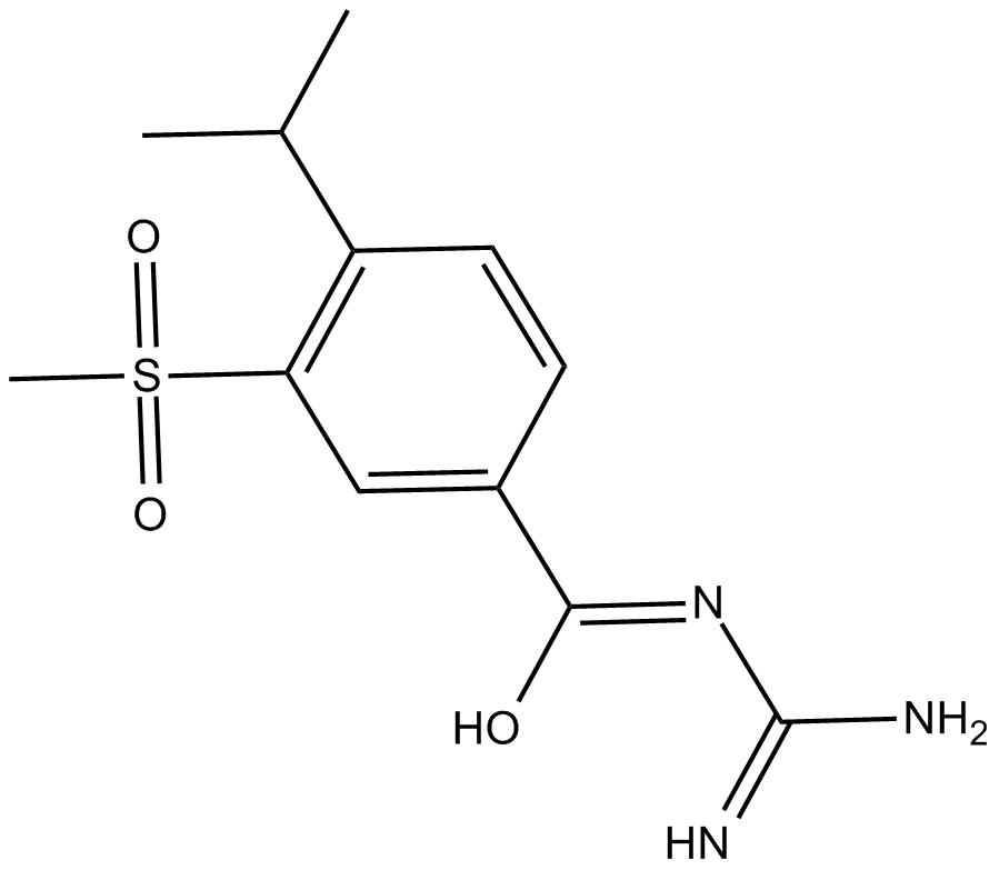 CARIPORIDEͼƬ