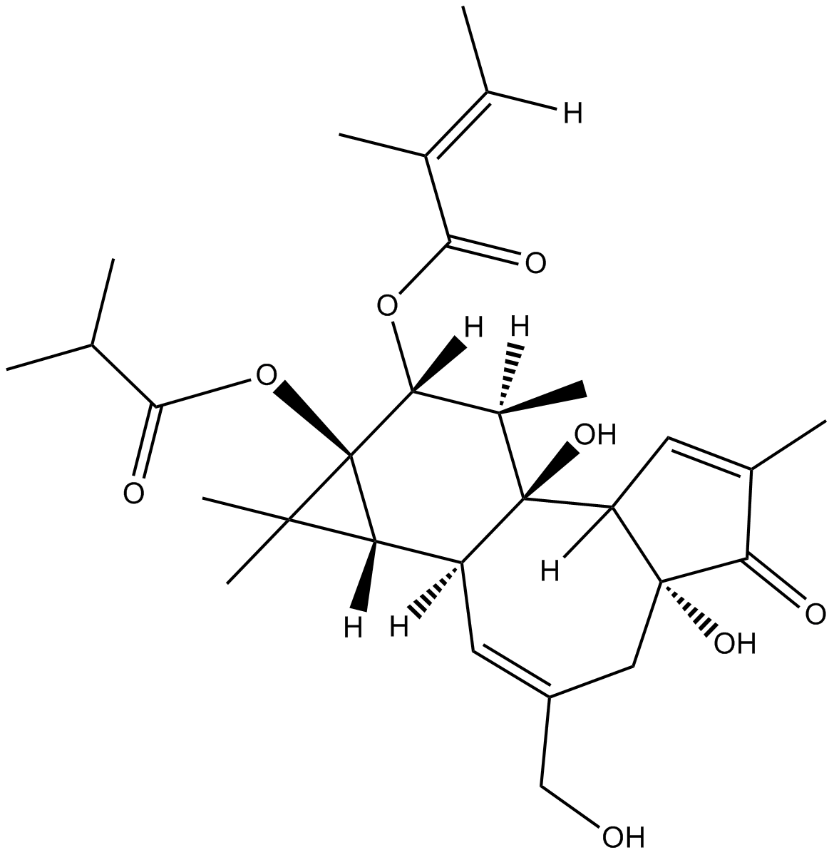 12-O-Tiglylphorbol-13 &ndashisobutyrateͼƬ