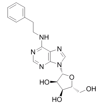 N6-(2-Phenylethyl)adenosineͼƬ