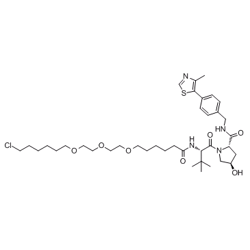 E3 ligase Ligand-Linker Conjugates 8ͼƬ