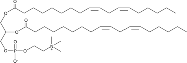 1,2-Dilinoleoyl-sn-glycero-3-PCͼƬ