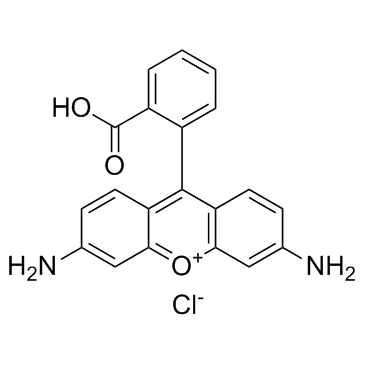 Rhodamine 110(Rhodamine 110 chloride)ͼƬ