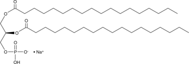 1,2-Distearoyl-sn-glycero-3-phosphate(sodium salt)ͼƬ