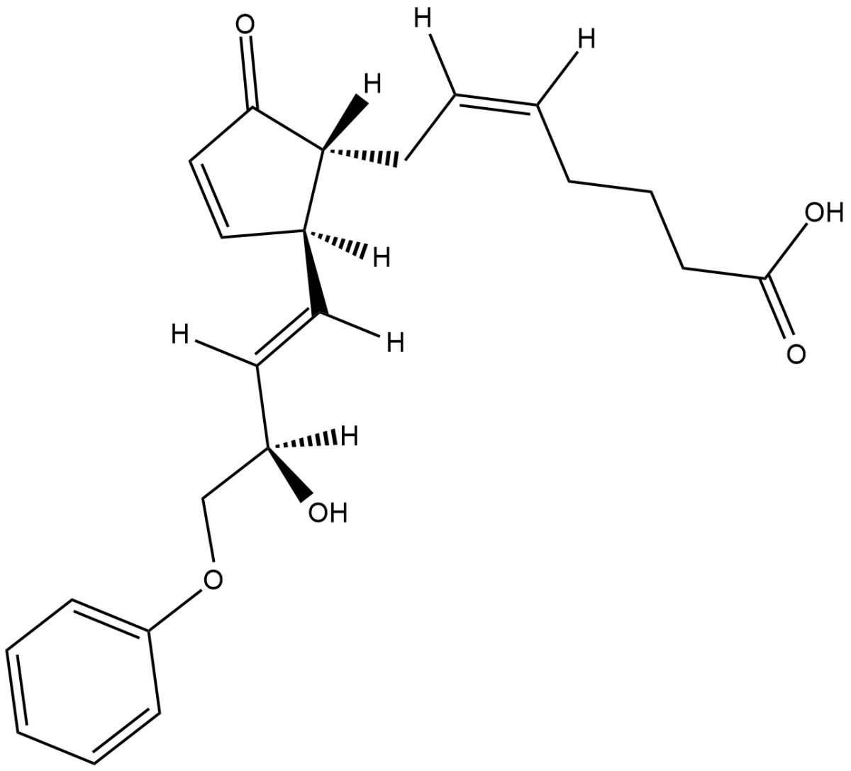 16-phenoxy tetranor Prostaglandin A2ͼƬ