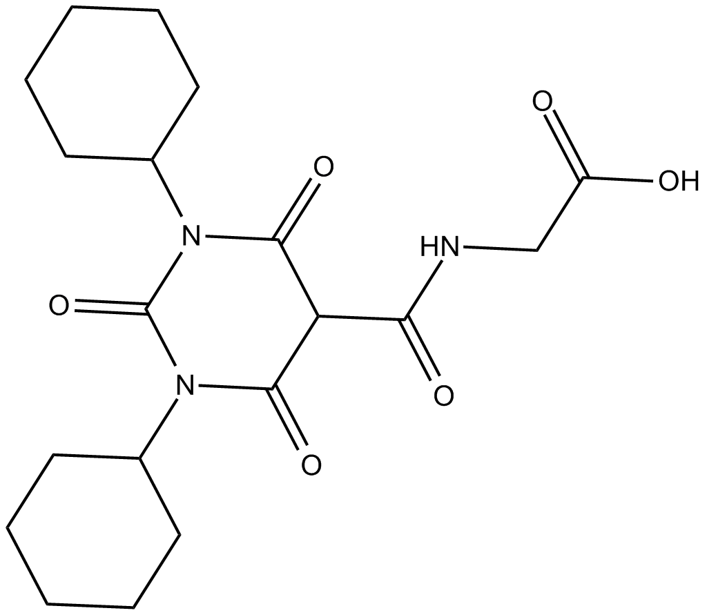 Daprodustat(GSK1278863)ͼƬ