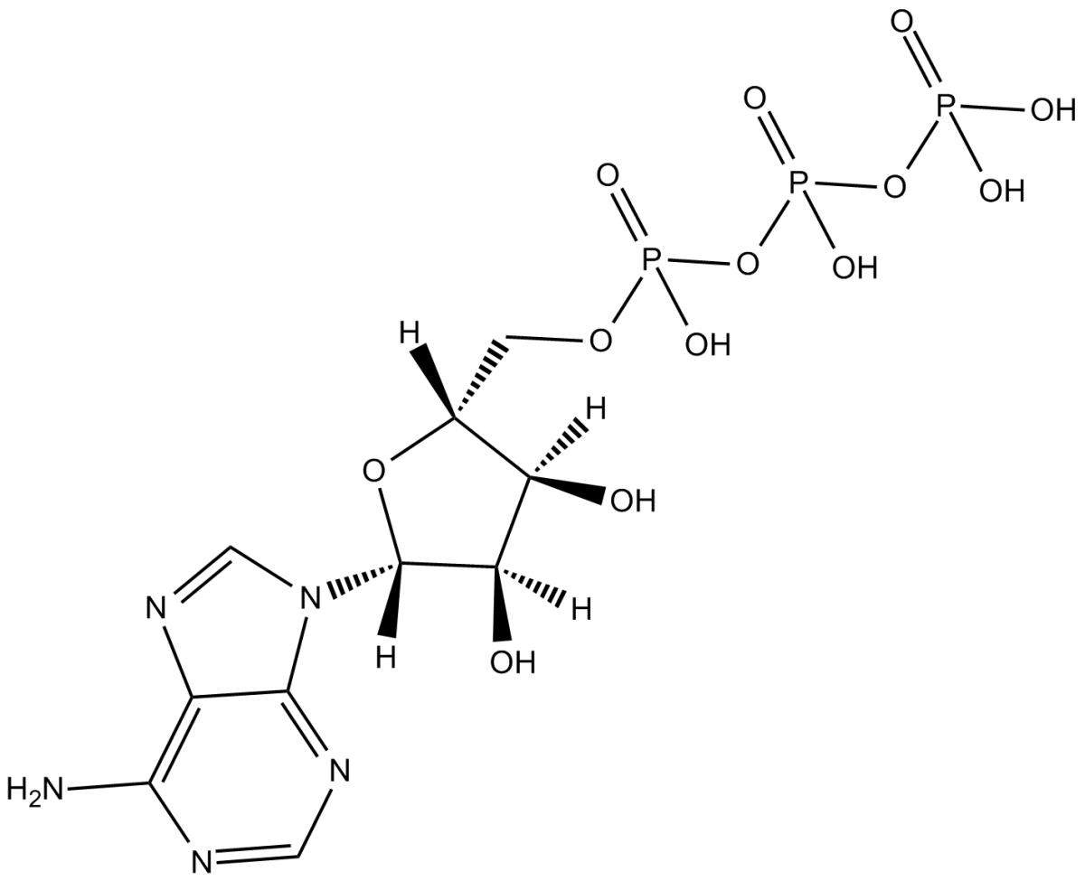 Adenosine 5-triphosphateͼƬ