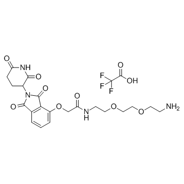 E3 Ligase Ligand-Linker Conjugates 24 TFA(E3 Ligase Ligand-Linker Conjugates 24 trifluoroacetate)ͼƬ