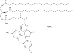 1,2-Dioleoyl-sn-glycero-3-N-carboxyfluoroscein-PEͼƬ