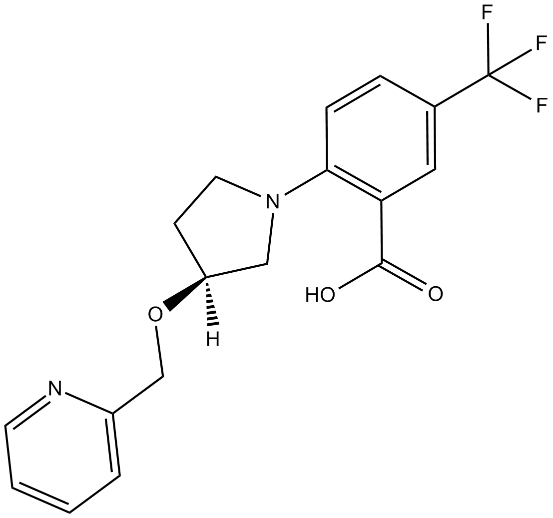 XEN445ͼƬ