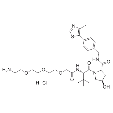 E3 ligase Ligand-Linker Conjugates 5ͼƬ