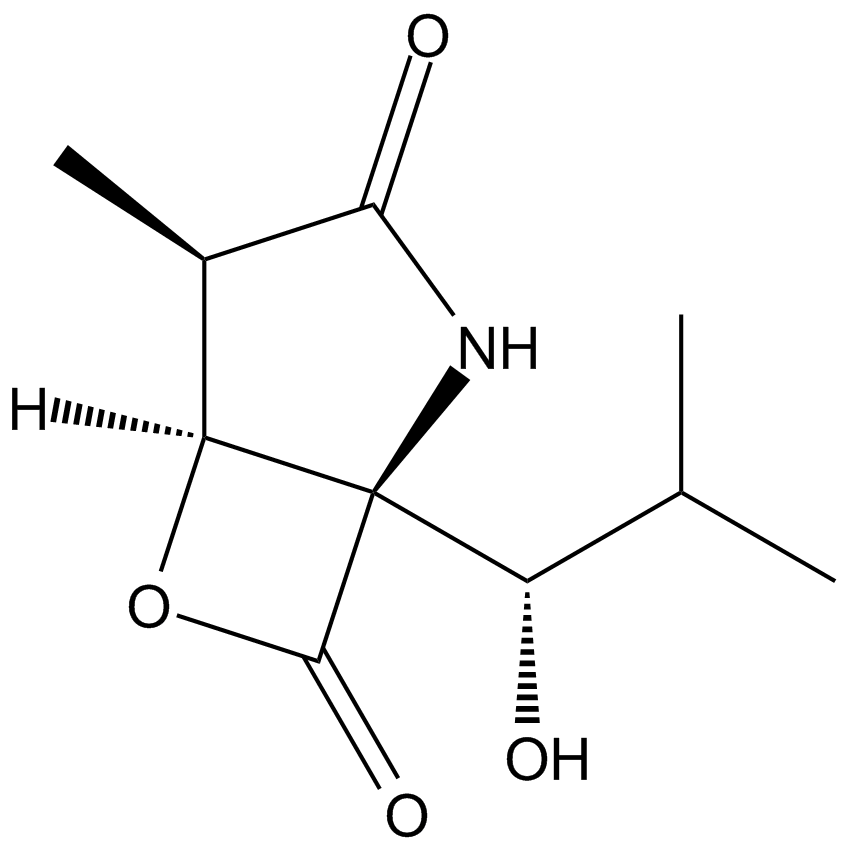 Clasto-Lactacystin-lactoneͼƬ