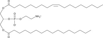 1-Palmitoyl-3-oleoyl-sn-glycero-2-PEͼƬ