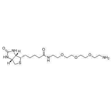 Amine-PEG3-BiotinͼƬ