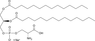 1,2-Dimyristoyl-sn-glycero-3-PS(sodium salt)ͼƬ