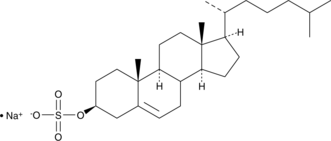 Cholesterol Sulfate(sodium salt)ͼƬ