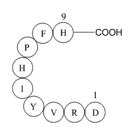 Angiotensin 1/2(1-9)ͼƬ