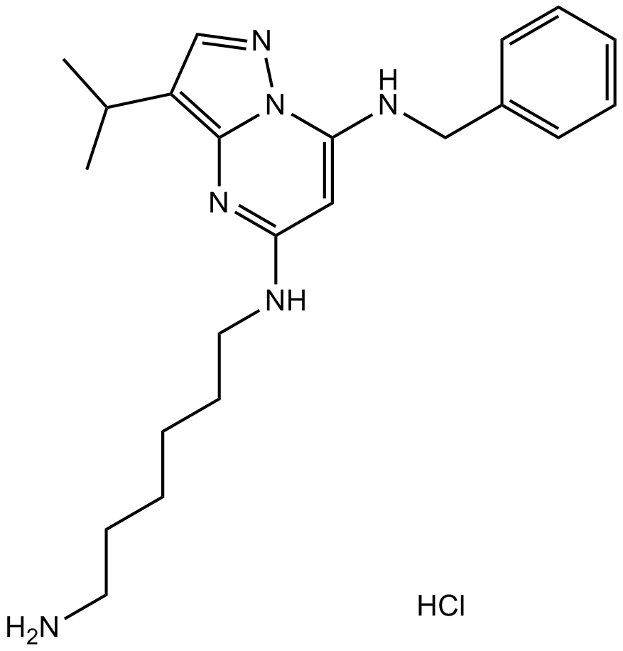 BS-181 HClͼƬ