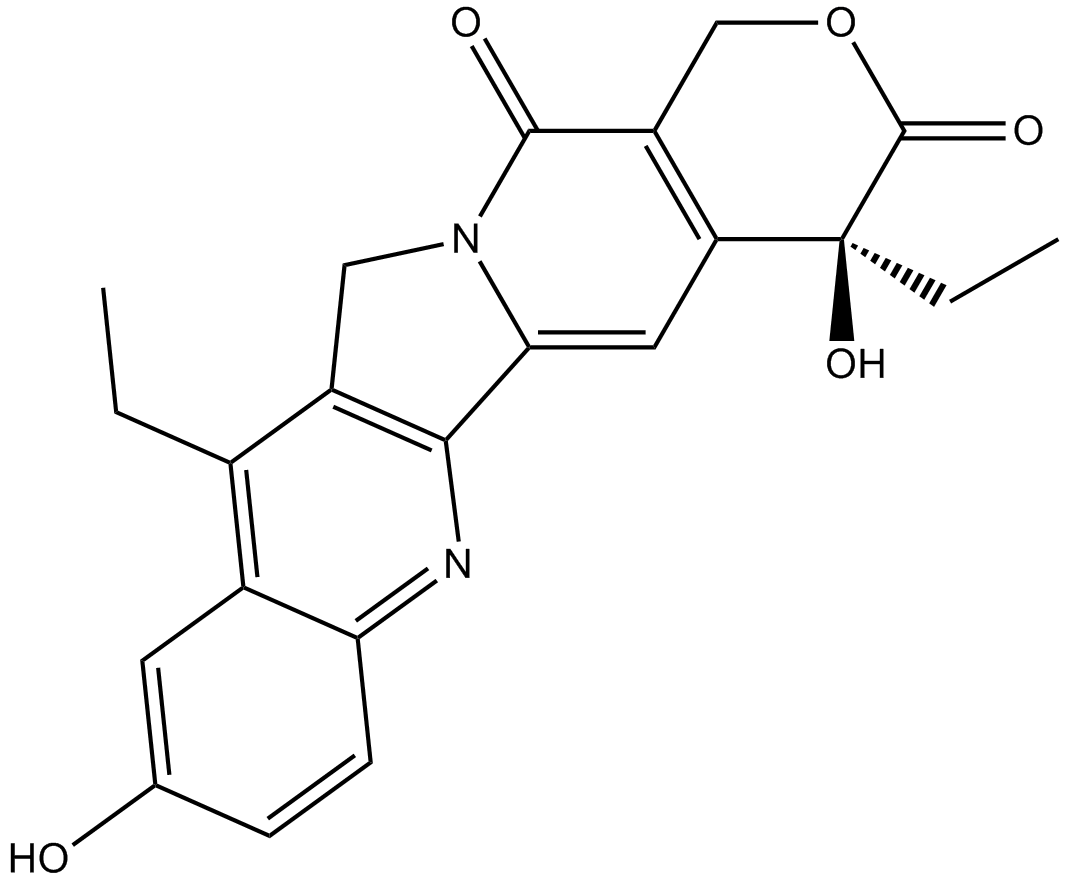 7-Ethyl-10-hydroxycamptothecinͼƬ