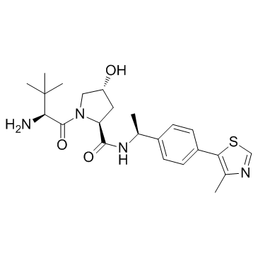 E3 ligase Ligand 1AͼƬ