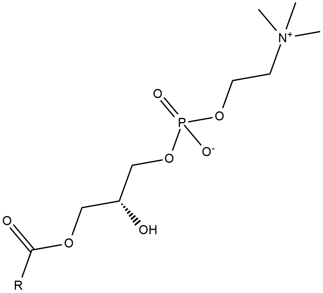 LysophosphatidylcholinesͼƬ