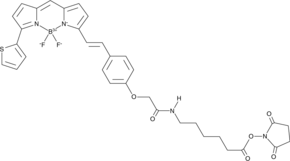 BODIPY 630/650X succinimide esterͼƬ