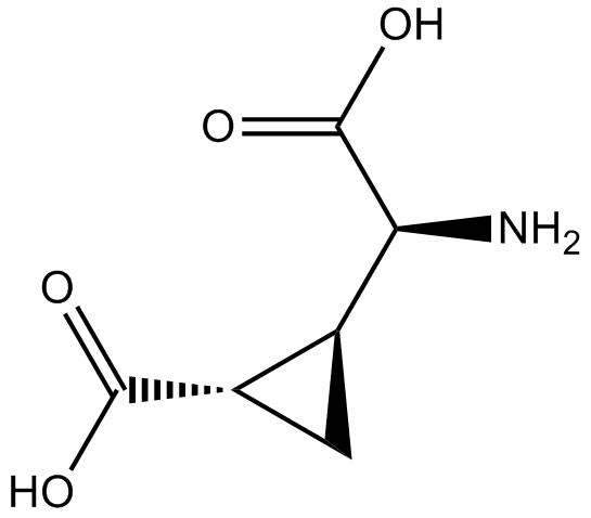 L-CCG-lͼƬ