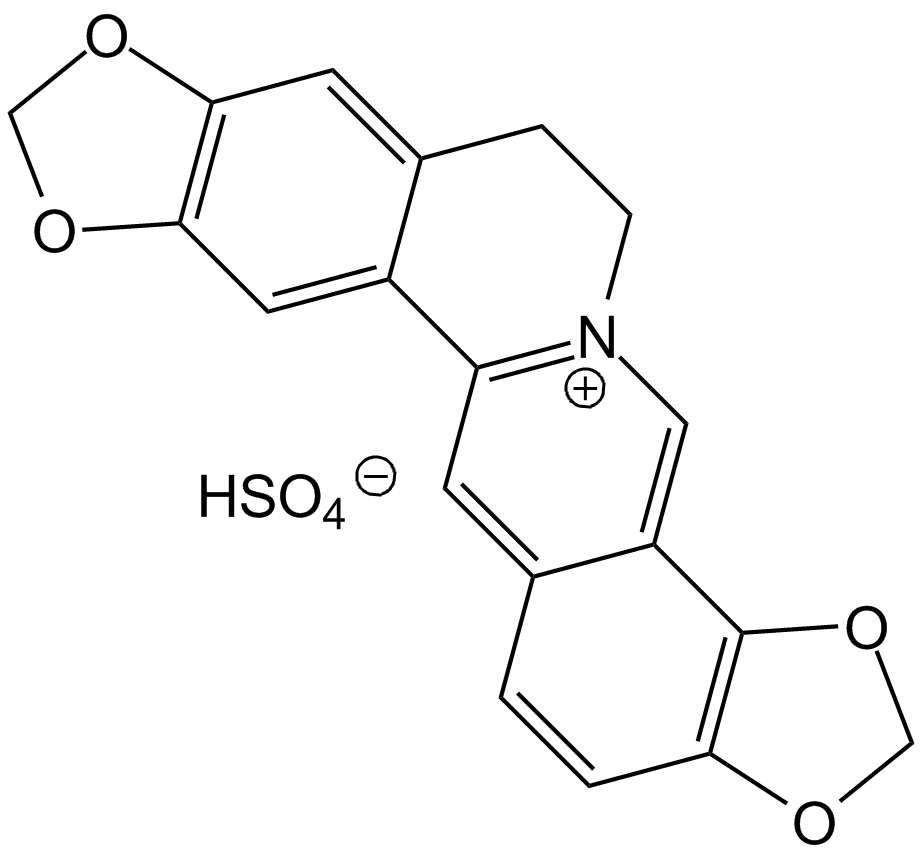 Coptisine SulfateͼƬ