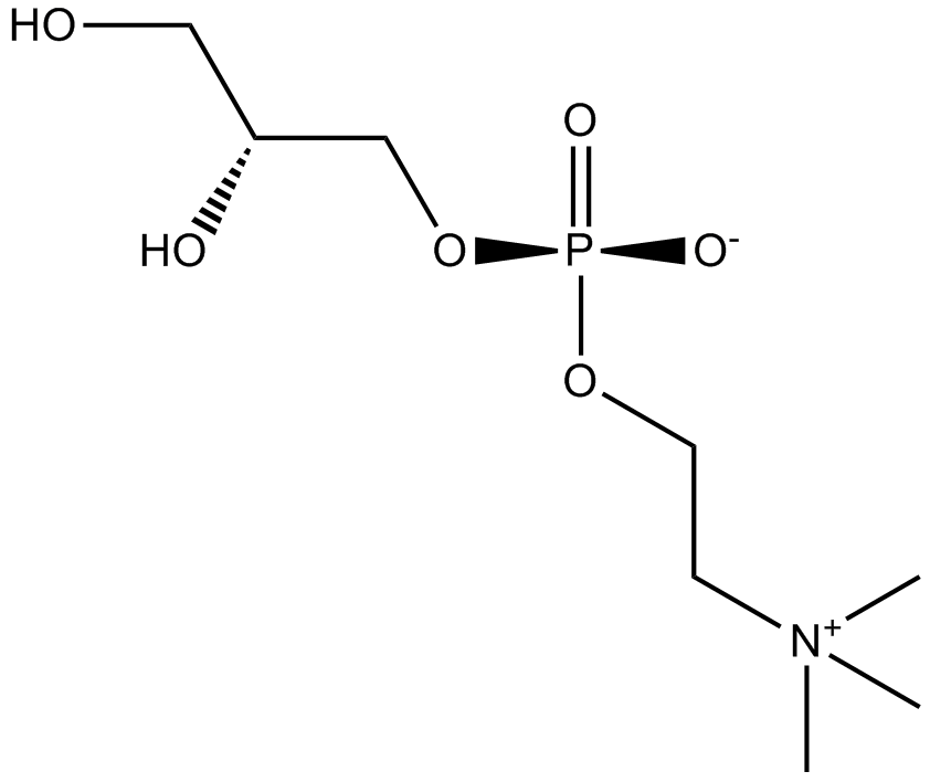 sn-Glycero-3-phosphocholineͼƬ