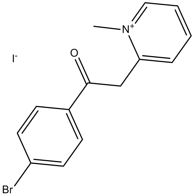 S 24795ͼƬ