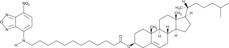 3-dodecanoyl-NBD CholesterolͼƬ