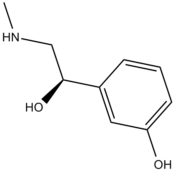 L-PhenylephrineͼƬ